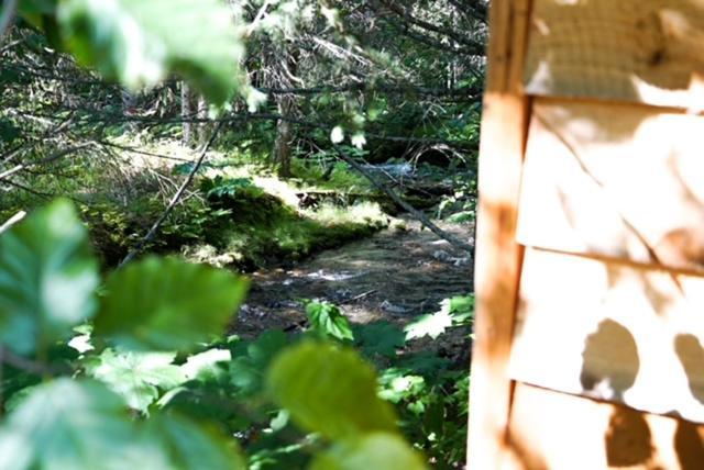 Hope Alaska'S Bear Creek Lodge Ngoại thất bức ảnh